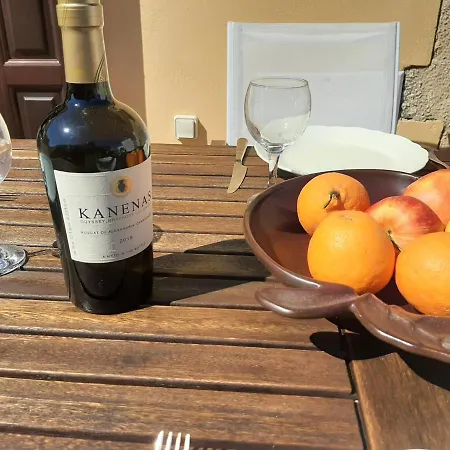 別荘 Alexandros Traditional House イアリソス